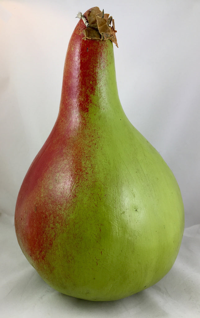 Gourd hand painted  to resemble pear